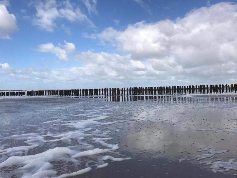 Duinvilla Aan De Zee B&B Zoutelande Esterno foto