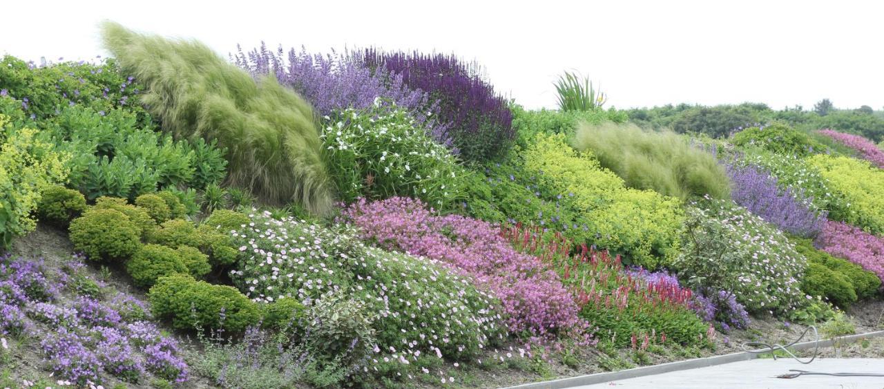 Duinvilla Aan De Zee B&B Zoutelande Esterno foto