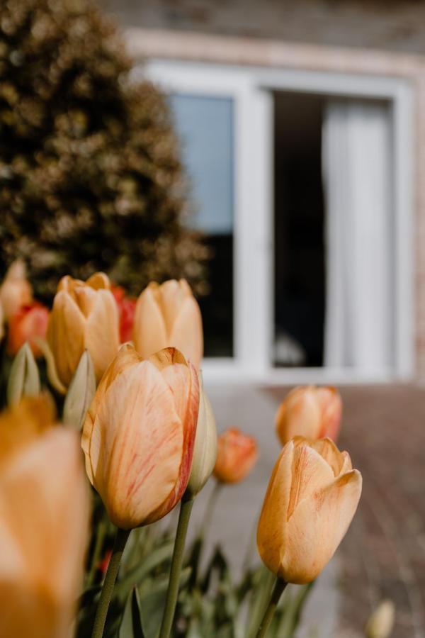 Duinvilla Aan De Zee B&B Zoutelande Esterno foto